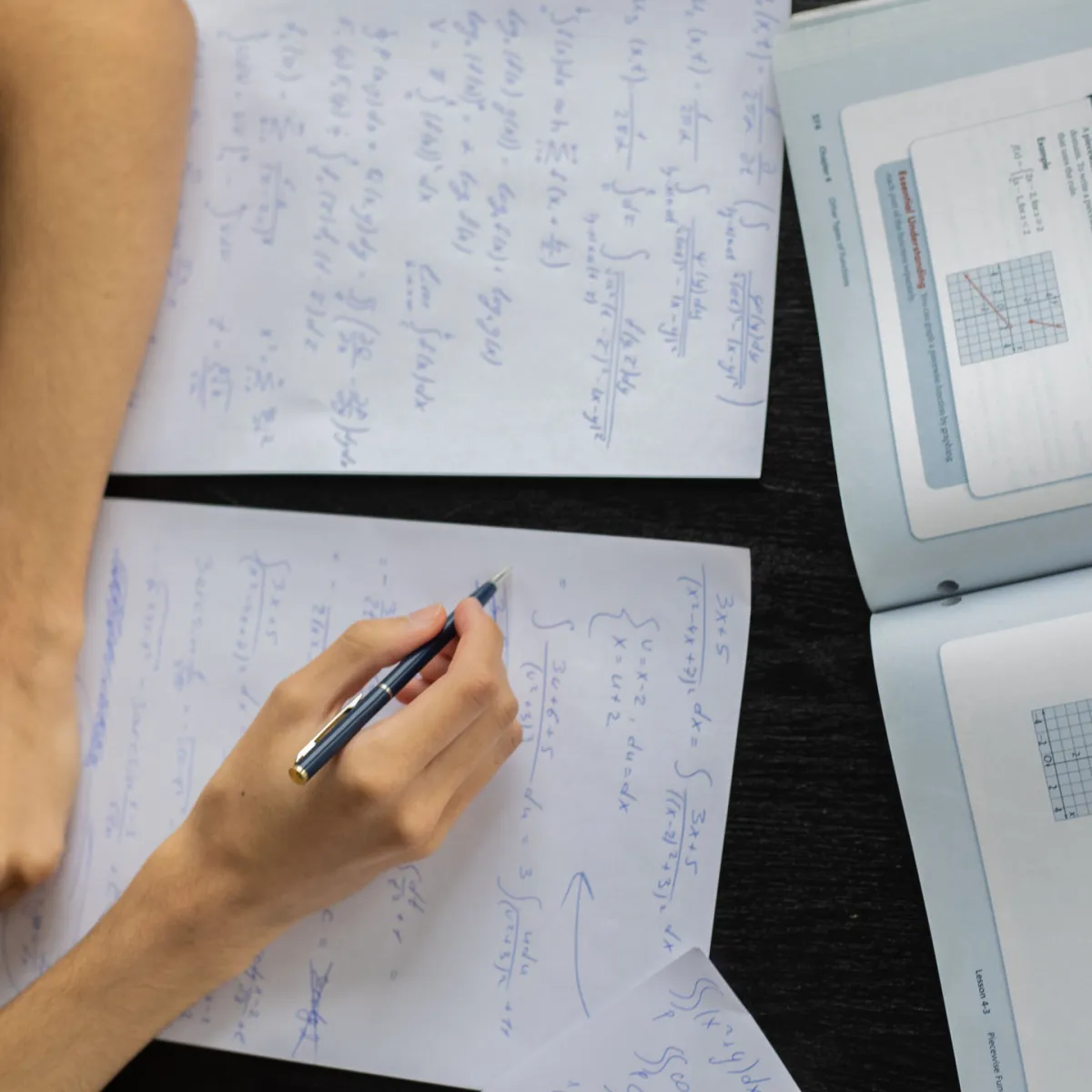 Specialist Mathematics overview