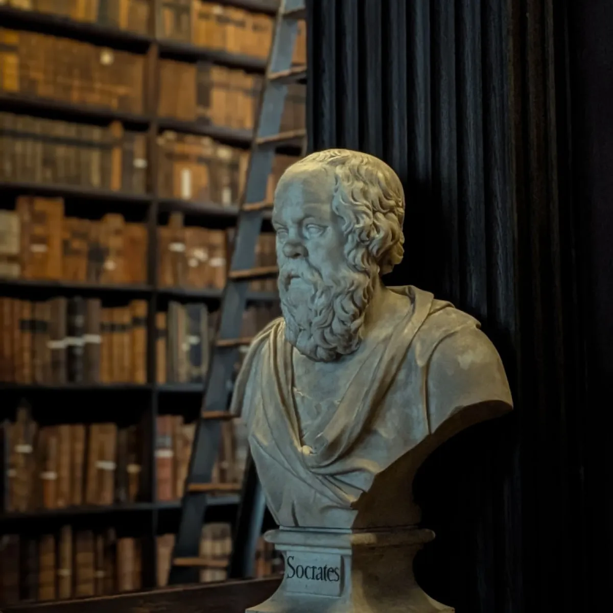 Humanities overview