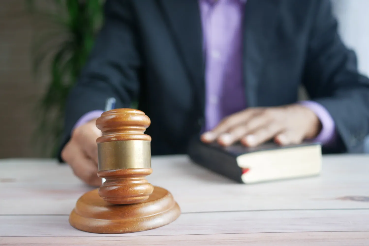 Exploring Law, Democracy and Civic Responsibility