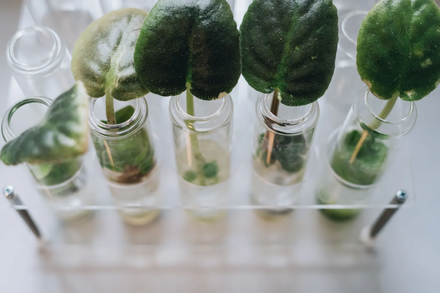 Creating Sustainable Solutions for a Changing World