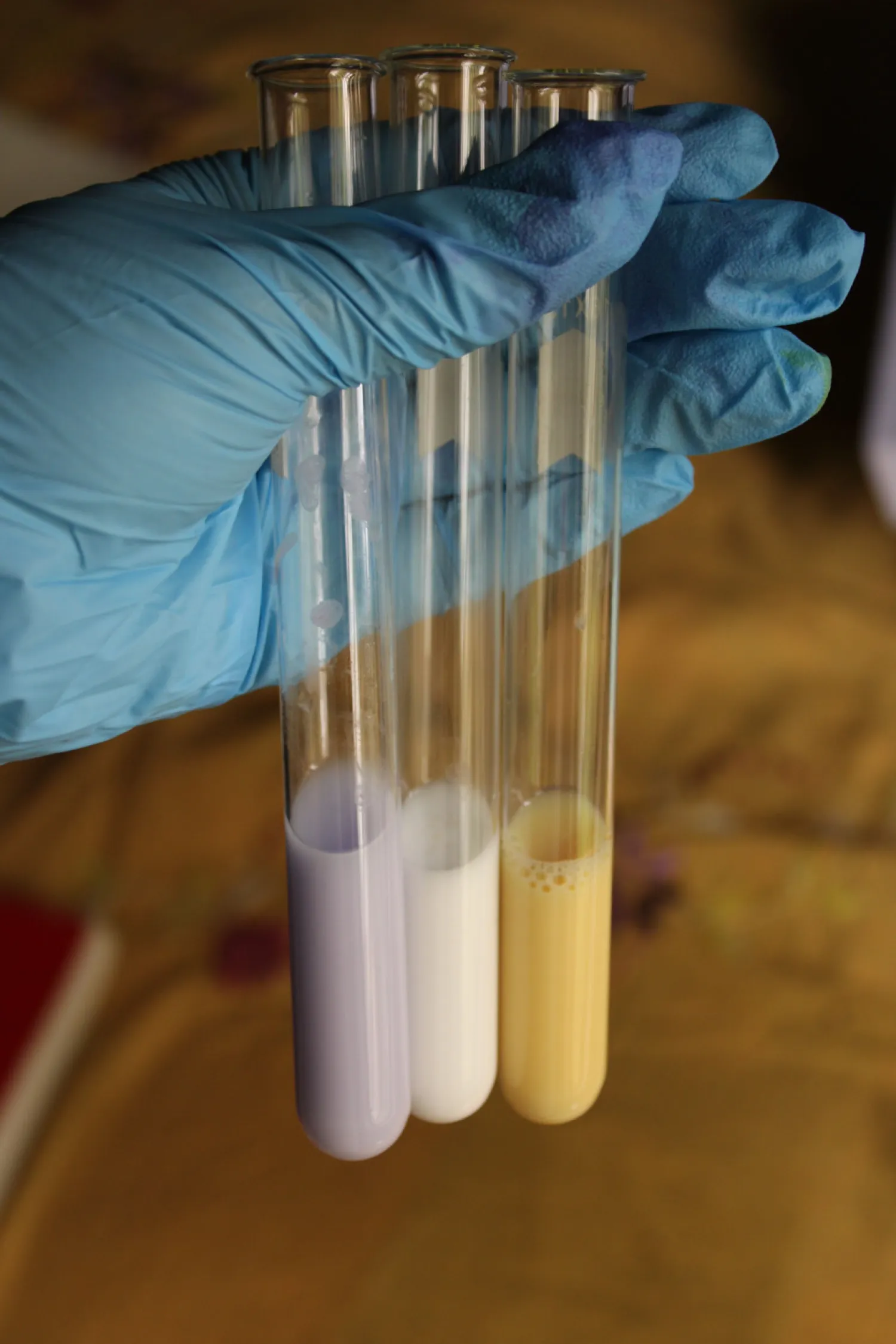 Investigating Science in the Real World
