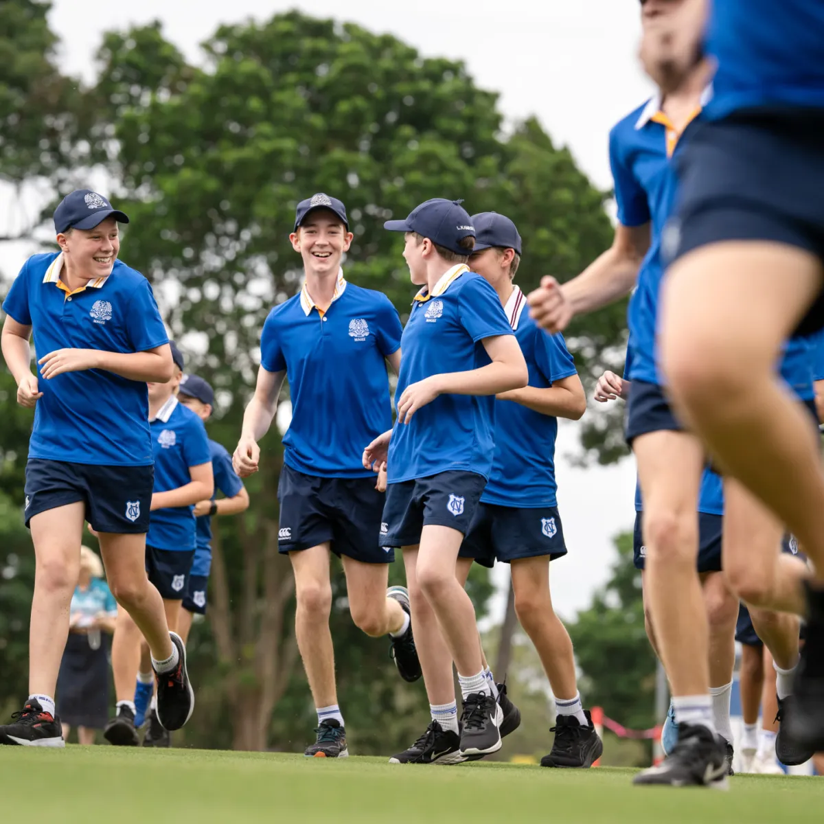 Health & Physical Education overview