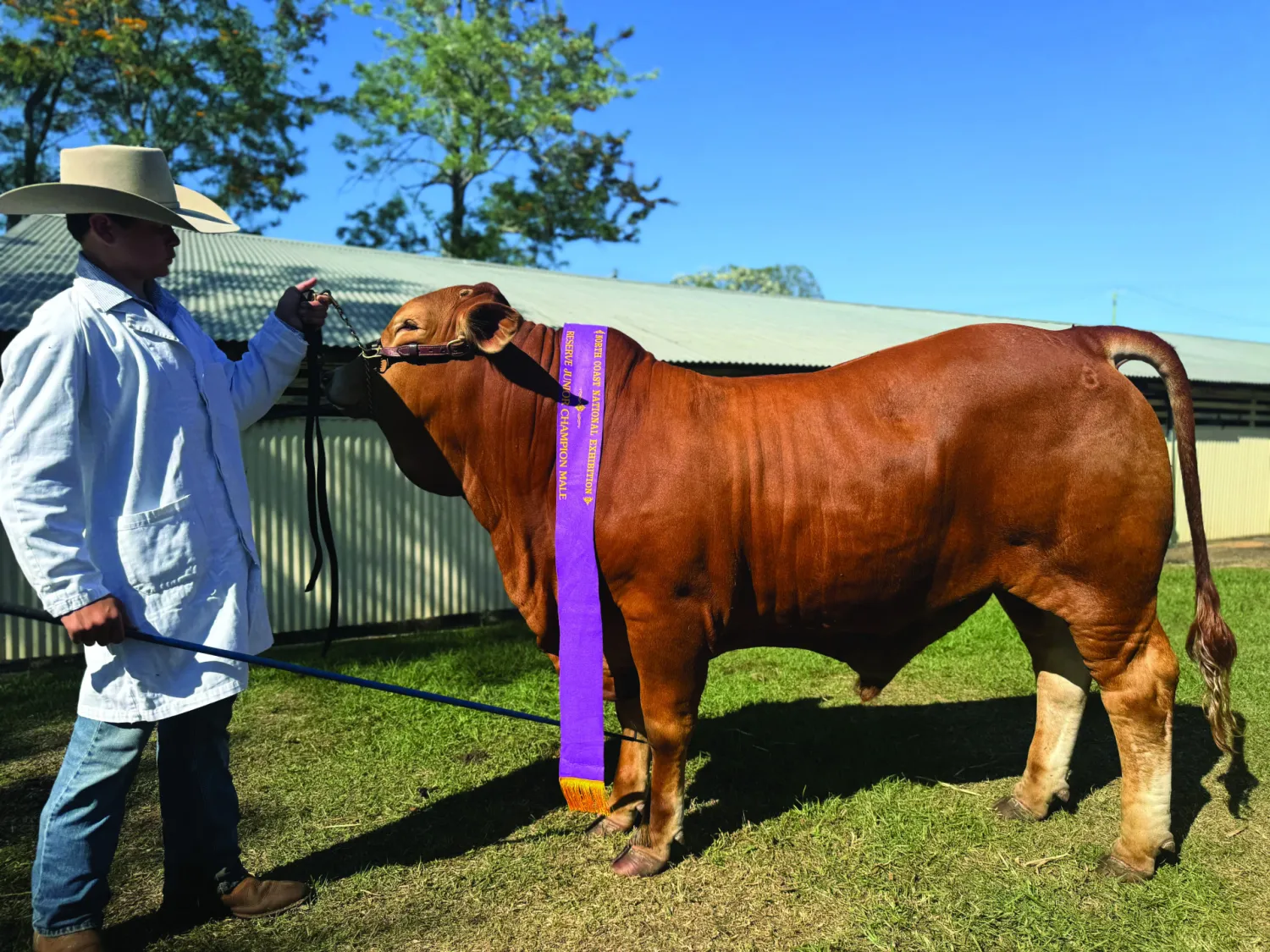Exploring Agriculture Through Science and Practical Skills