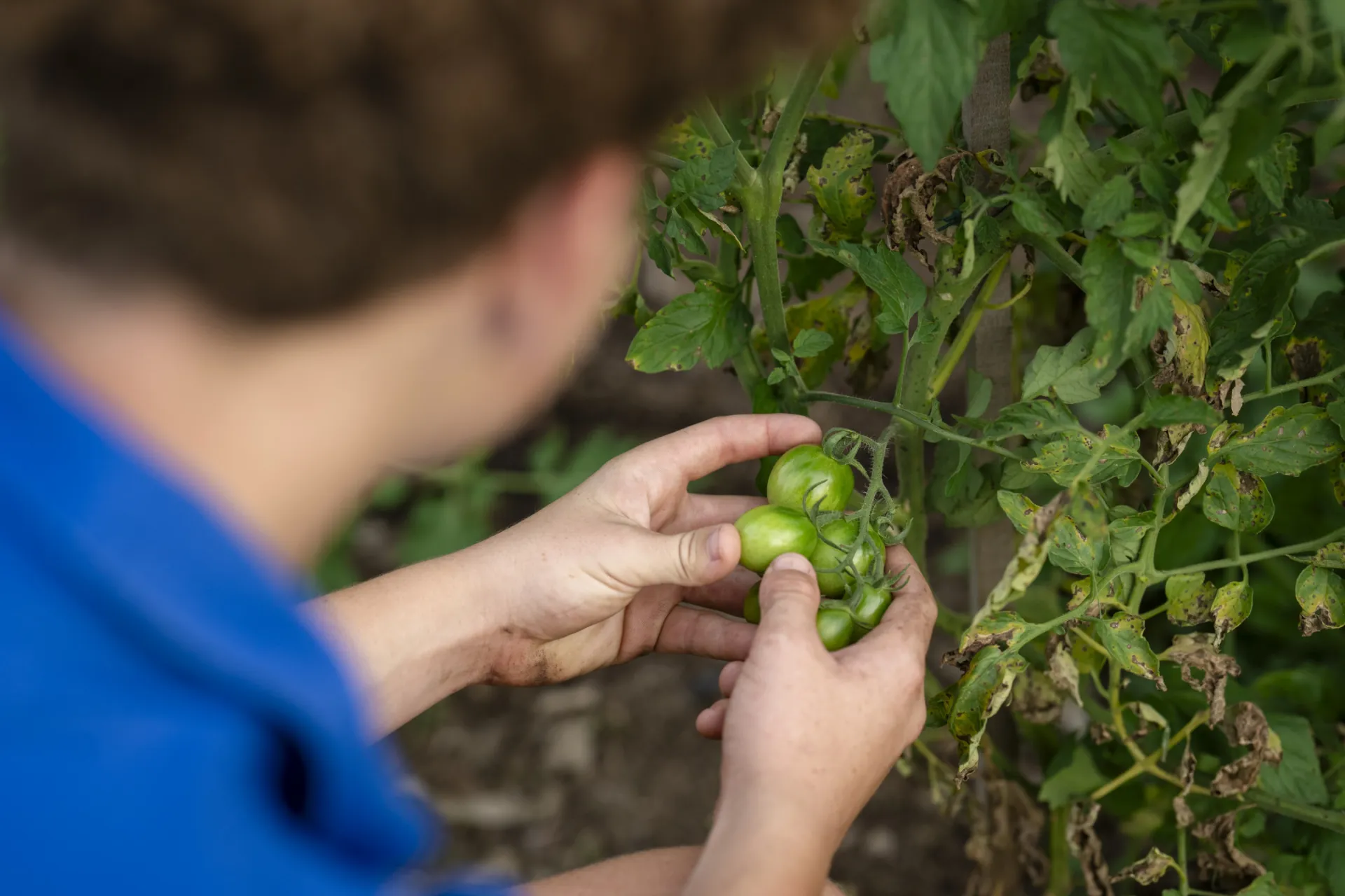 Agricultural Science
