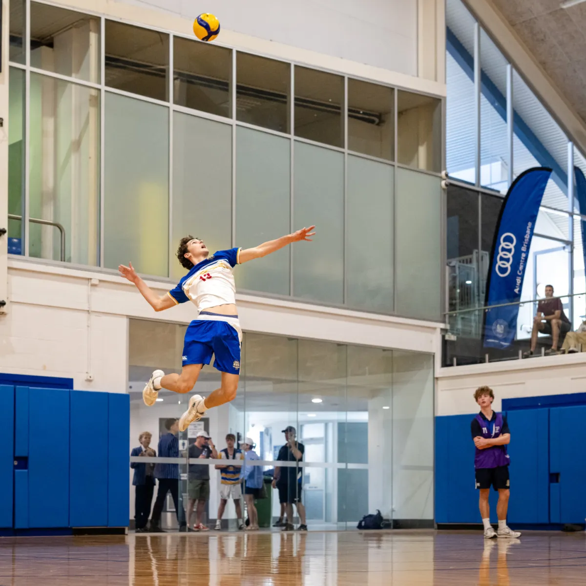 Volleyball overview