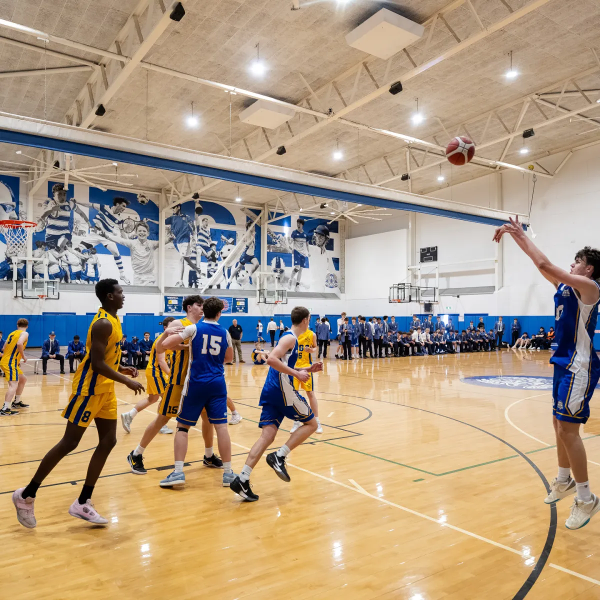 Basketball overview