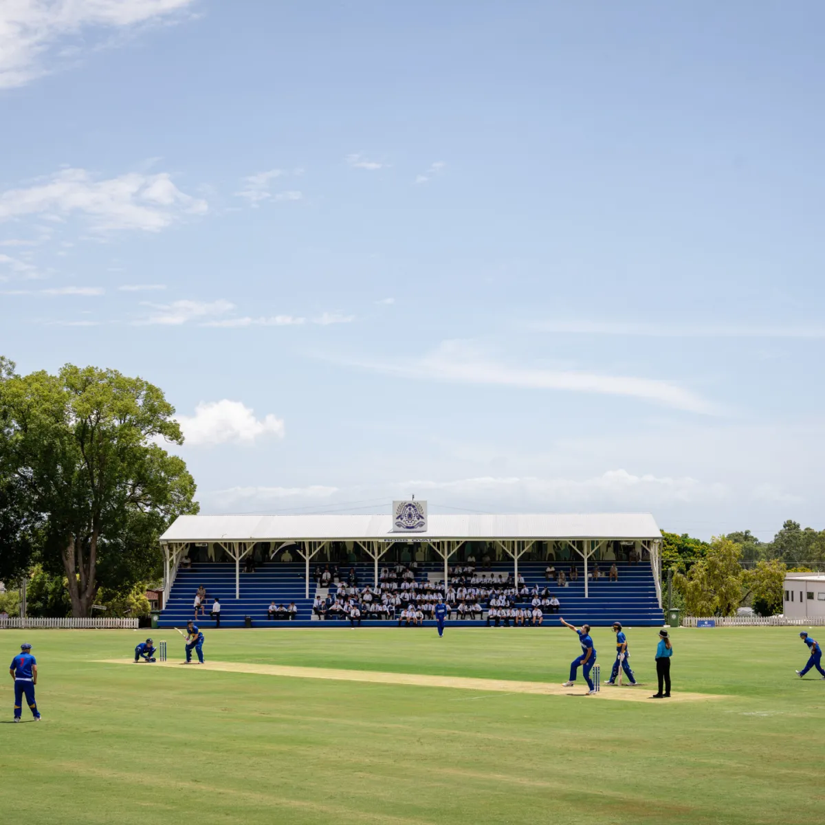 Cricket overview