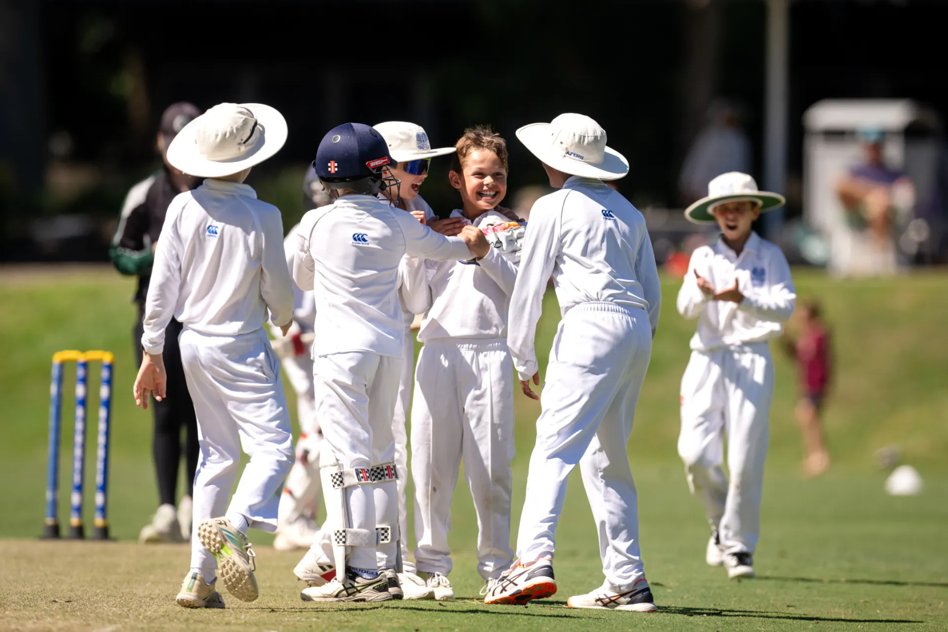 Cricket