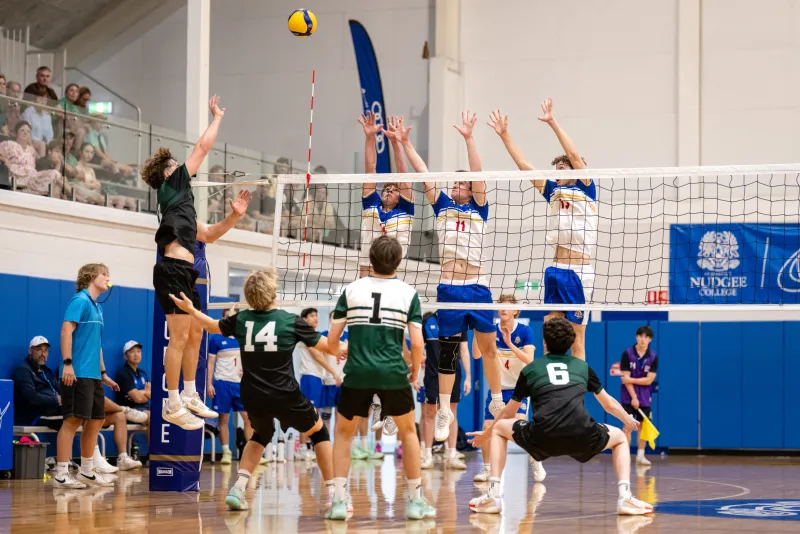 Volleyball