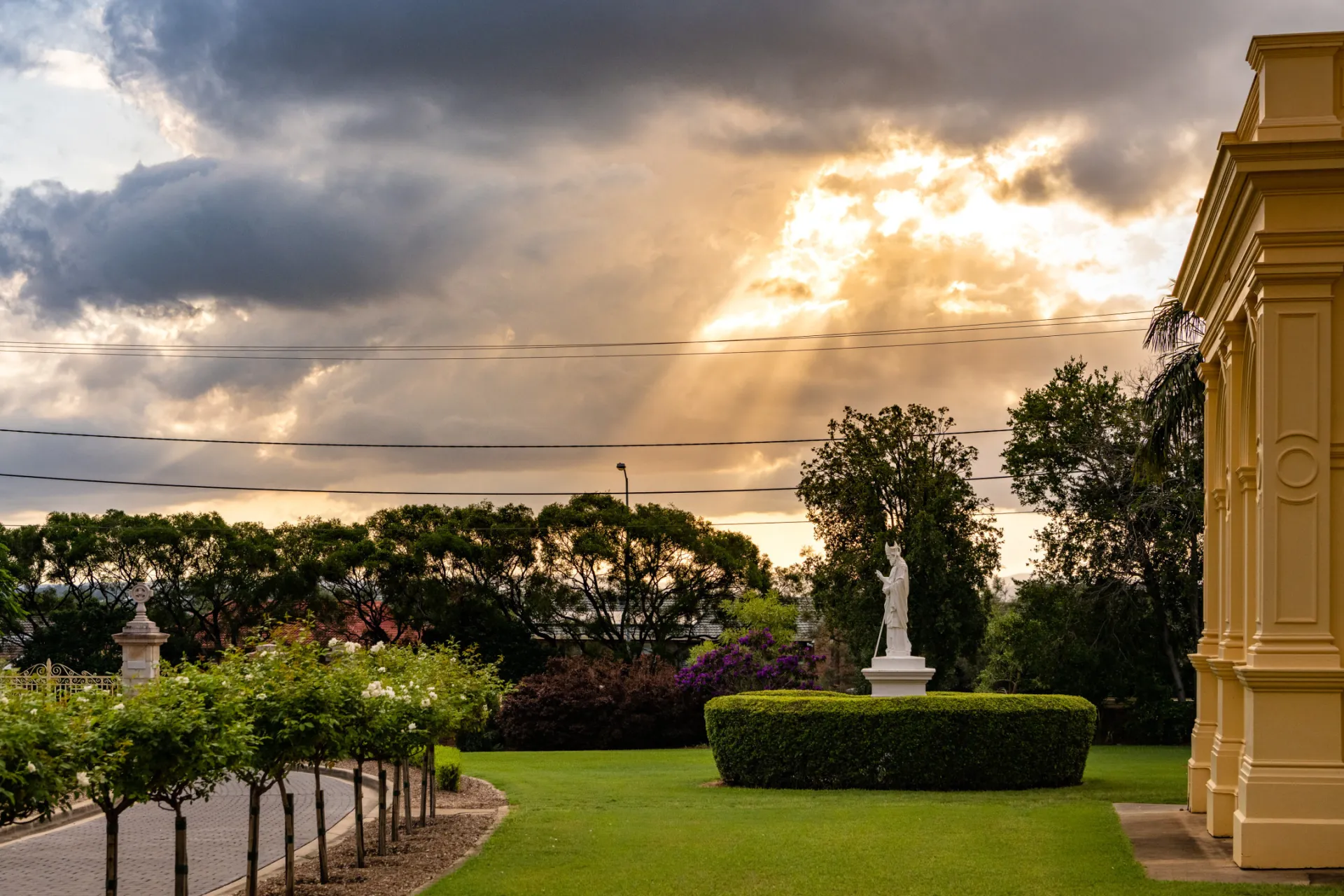 Rose Garden Sunset 29 02 20
