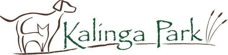 Kalinga Park JPEG