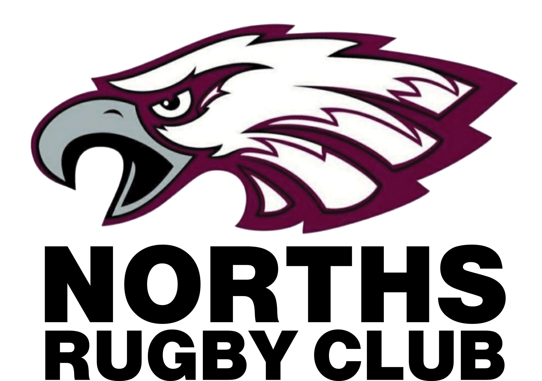 Norths Rugby logo
