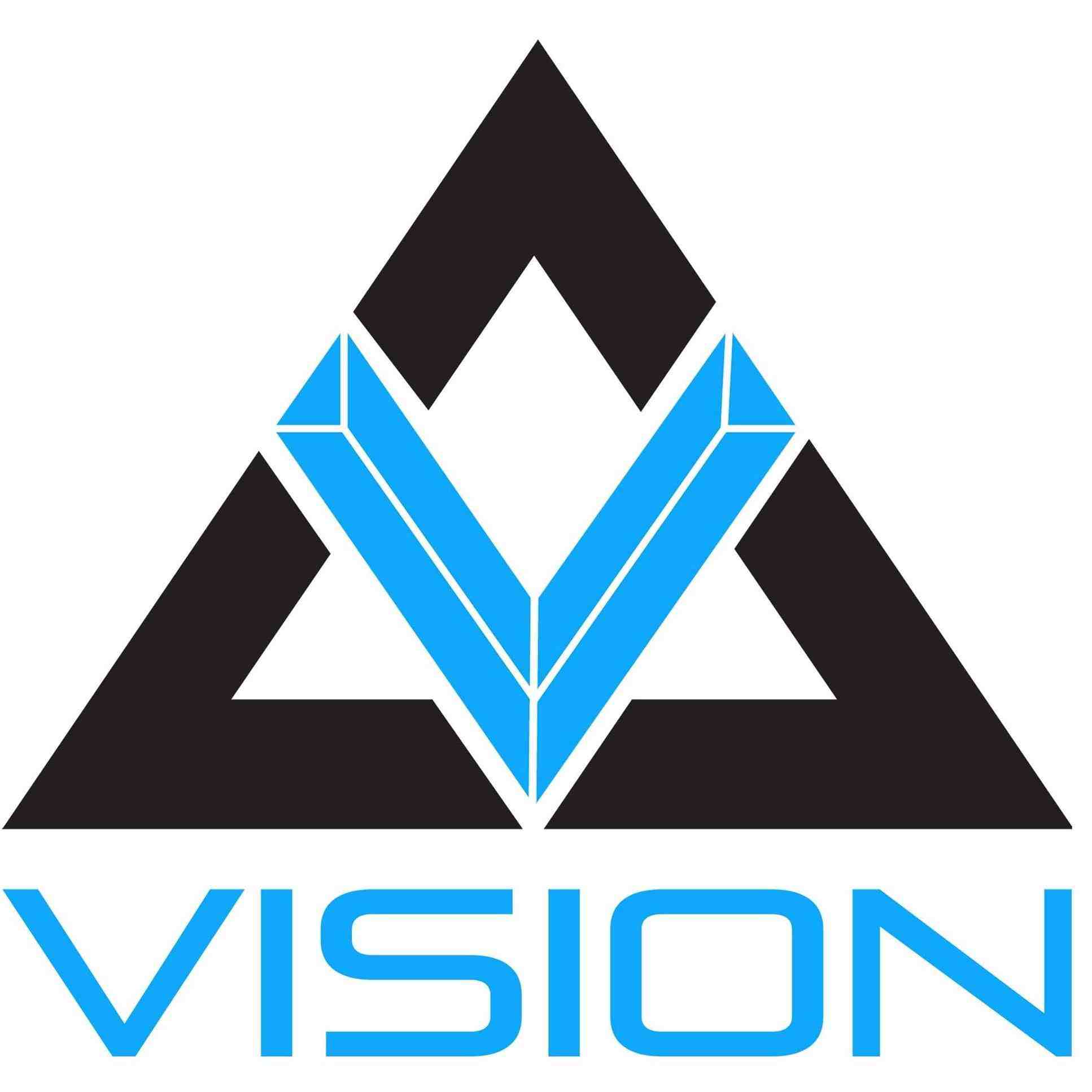 Vision Surveys