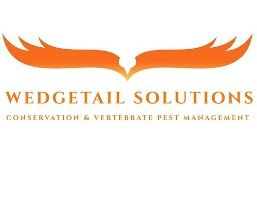 Wedgetail