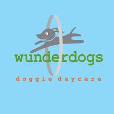 Wunderdogs